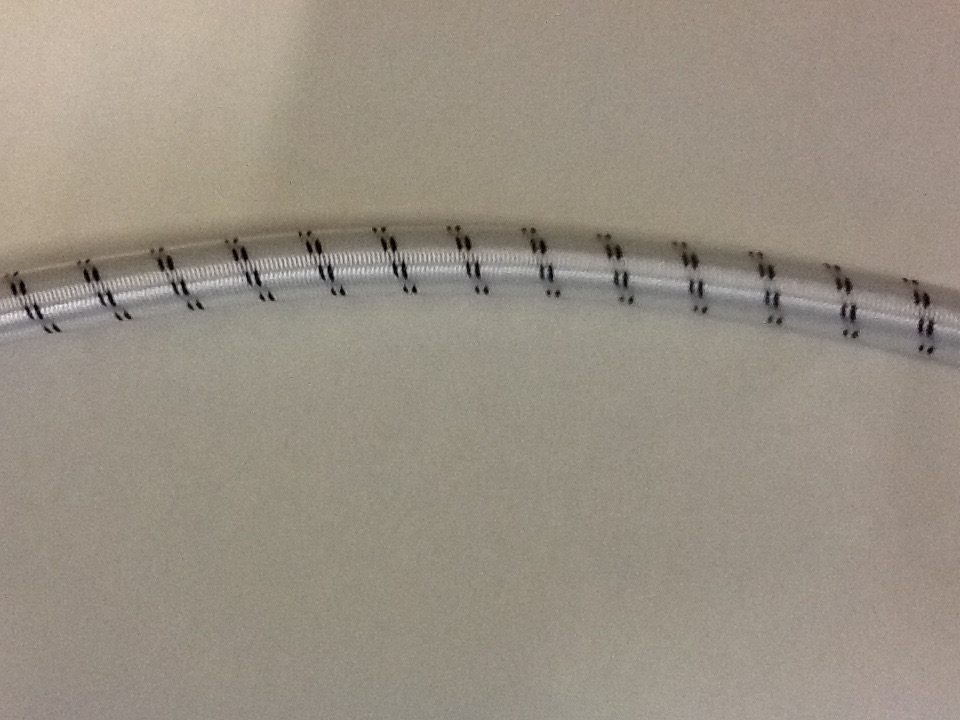 Gummiseil, 10mm, weiß/schwarz