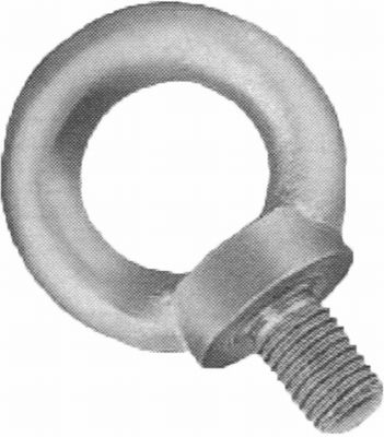 Ringschraube, AISI 316