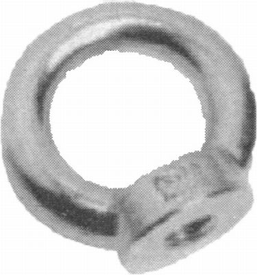 Ringmutter, AISI 316